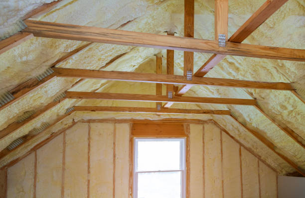 Best Cellulose Insulation in Cartervle, IL