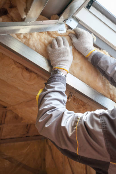 Professional Insulation Contractor in Carterville, IL