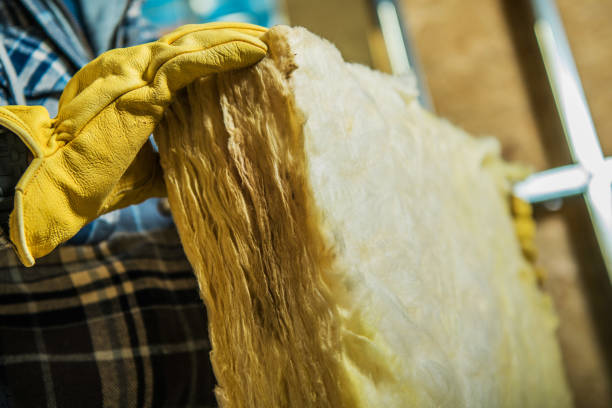 Best Insulation Maintenance and Repair in Cartervle, IL