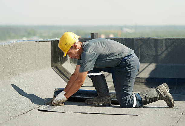 Best DIY Insulation Kits and Guidance in Cartervle, IL