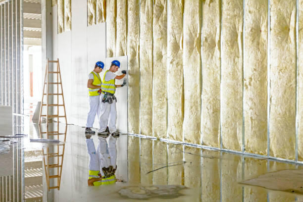 Best Specialized Insulation Services in Cartervle, IL